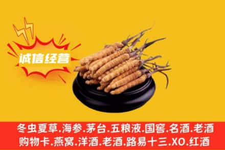 榆林市府谷回收冬虫夏草